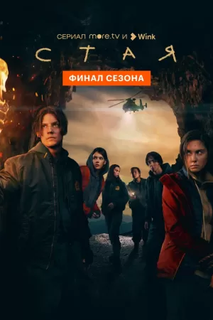 Стая (1 сезон) 1-8 серия торрент
