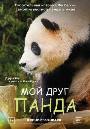 Мой друг панда (2024) скачать торрент